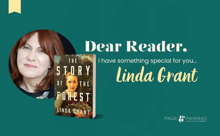 December Book Club: The Story of the Forest by Linda Grant