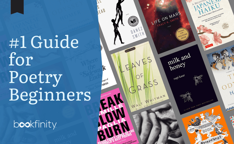 The Number One Guide for Poetry Beginners